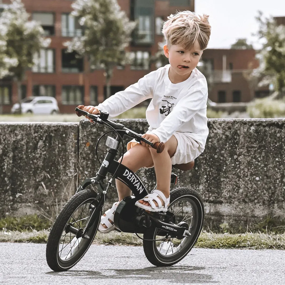 Luxury Children's bike 14 inch - 3 in 1 - balance bike Black - Image 8