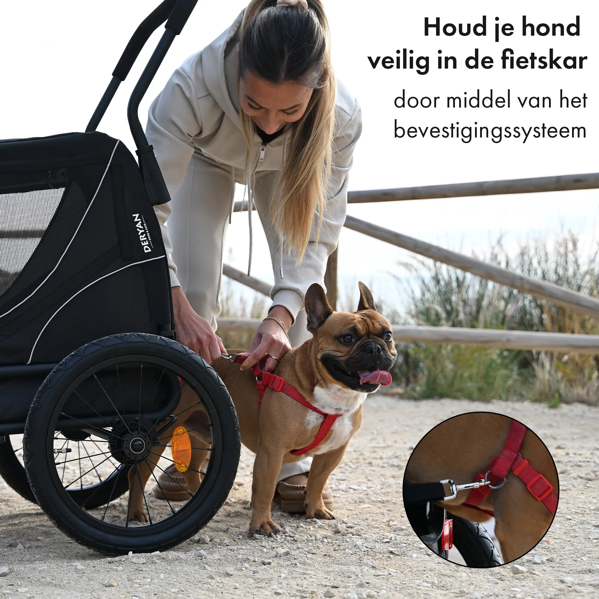 Dog Bike Trailer 2-in-1 – Foldable – Up to 20kg – Suitable for E-bikes - Image 7