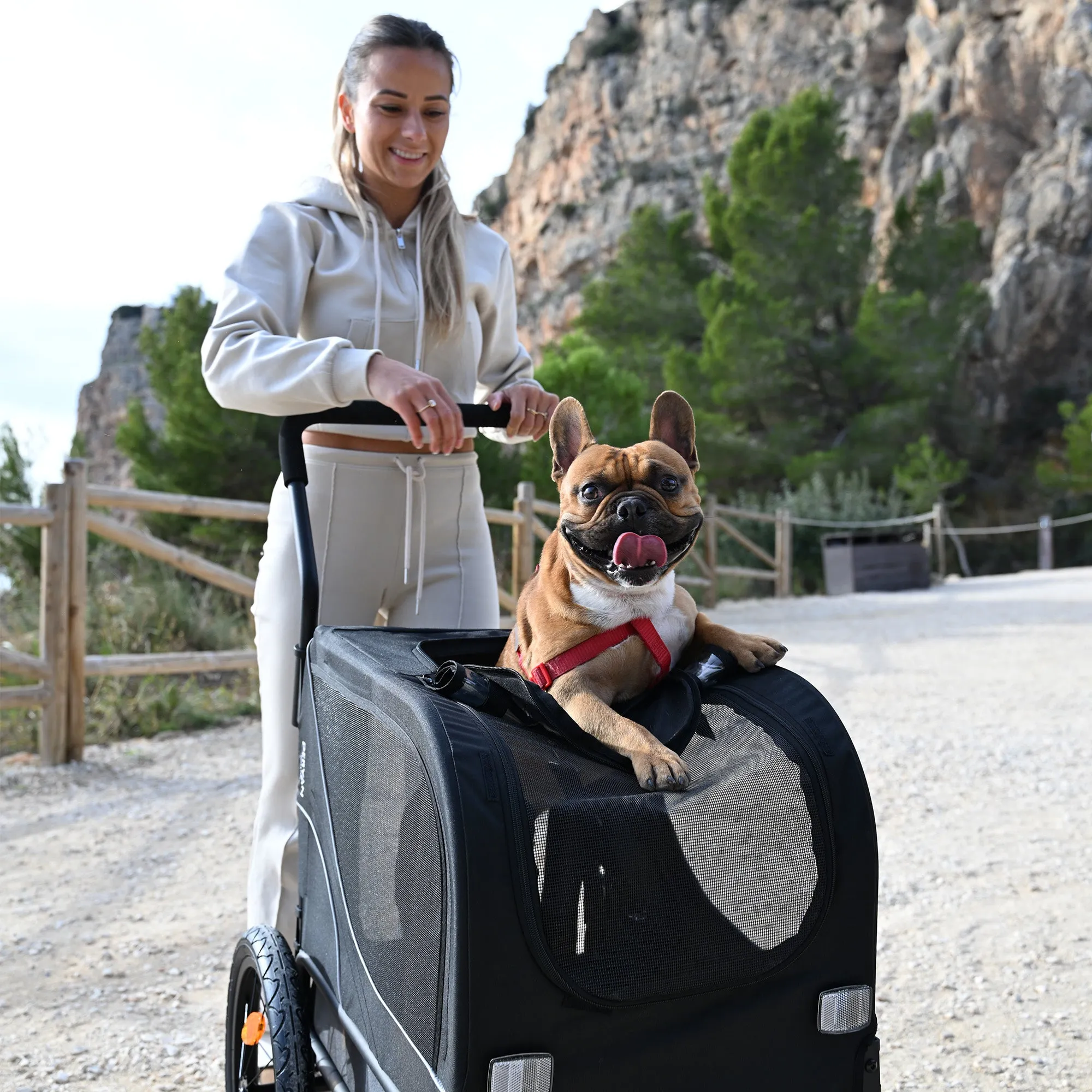 Dog Bike Trailer 2-in-1 – Foldable – Up to 20kg – Suitable for E-bikes - Image 8